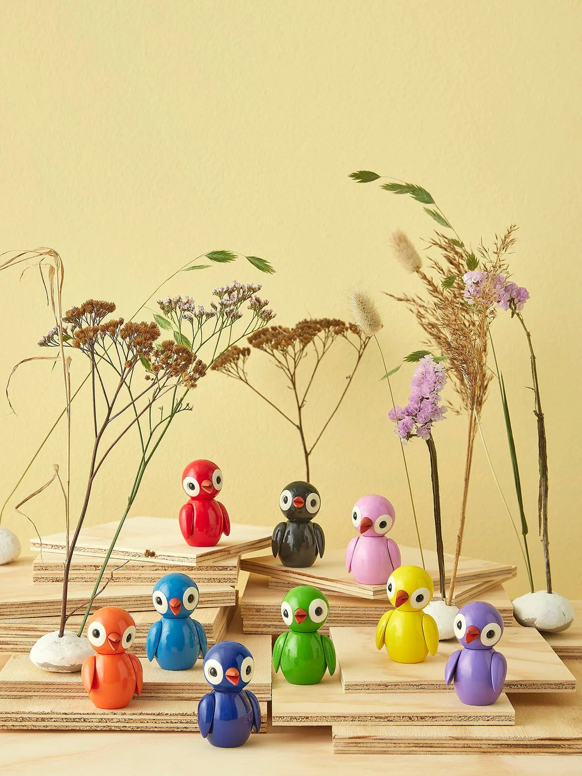 Birds